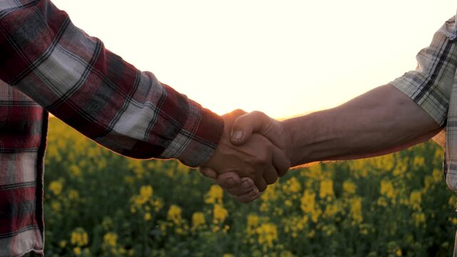 Close up of two male farmers shaking hands in agreement over beautiful yellow rapeseed field. Warm sun setting in background symbolizing successful agricultural business deal