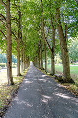 Park Bad Mergentheim