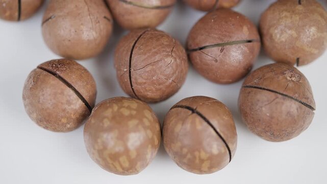 Detailed image of brown macadamia shells with natural markings. Highresolution photograph showcasing textured macadamia shells with scored seams and natural spots
