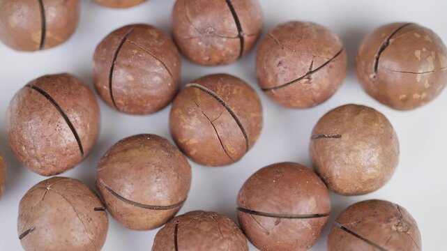 Macadamia nuts on bright background. Highresolution photographic image portraying whole macadamia nuts with detailed cracking patterns and natural brown exterior