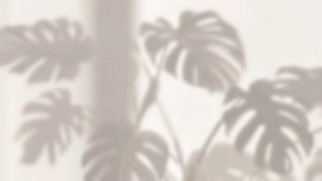 Soft monstera leaf shadows create a stylish, minimalist background perfect for modern interior design, branding, or creative commercial projects