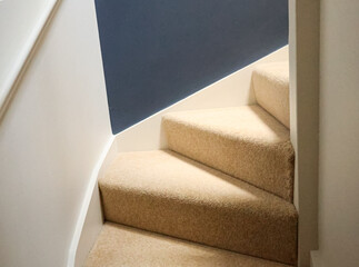 Beige carpeted winder staircase with white walls and a contrasting dark blue accent wall in a renovated home