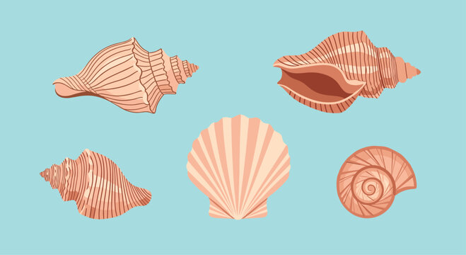 Collection of various sea shells in pastel pink tones including conch and scallop shapes on a light blue background.