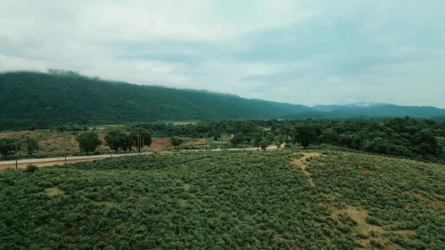 Cinematic drone aerial view of a winding road through lush tea gardens and forest hills in Jaflong, Sylhet, Bangladesh. Peaceful countryside landscape with clouds gathering