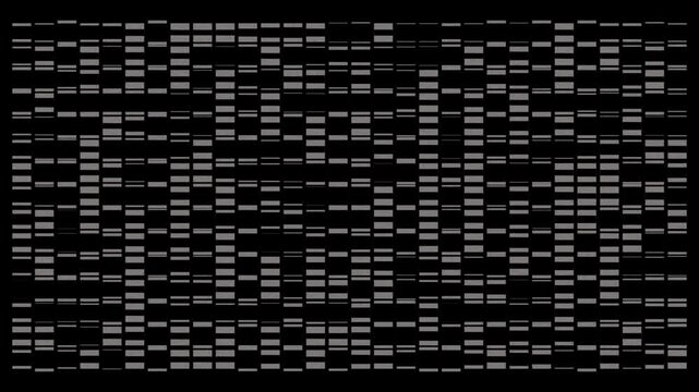 Monochrome barcode block grid animation with dense rectangular dashes and digital noise on black