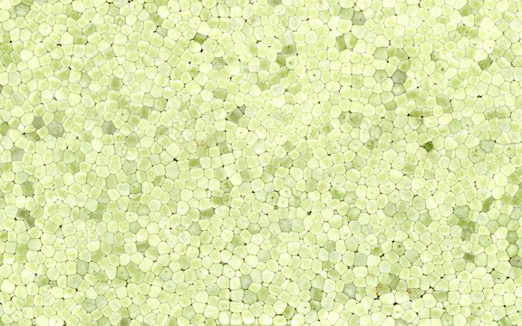 green expanded polystyrene plastic texture background