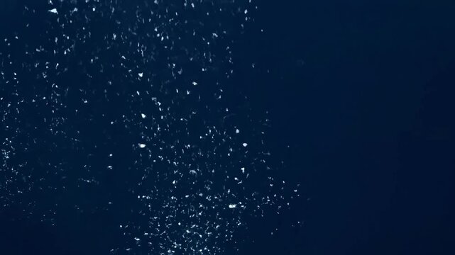 Dark blue background with scattered white specks concentrated on the left transitioning to a solid white space at the bottom.