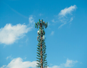 Obraz premium A low-angle shot of a monopine cellular 5G telecommunications tower camouflaged to look like a tall evergreen tree.