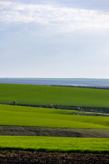 Obraz premium Layered green agricultural fields forming soft hills in countryside landscape. Scenic farmland panorama representing agriculture and natural environment.