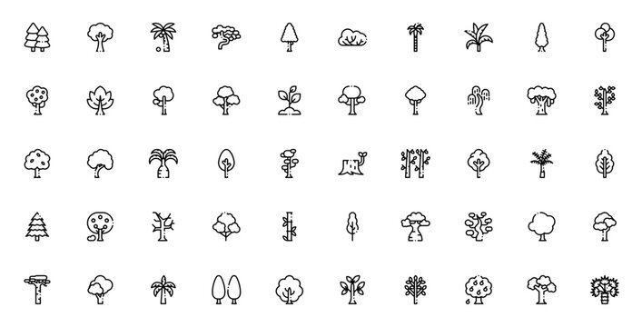 Trees icon set. Vector tree collection featuring pine, coconut, palm, oak, birch, spruce, bamboo, baobab and more. Minimal line icons.