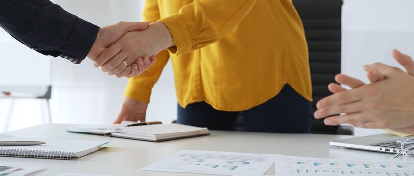 Professional businesspeople shaking hands, confirming partnership agreement in contemporary corporate sunny office. Business handshake