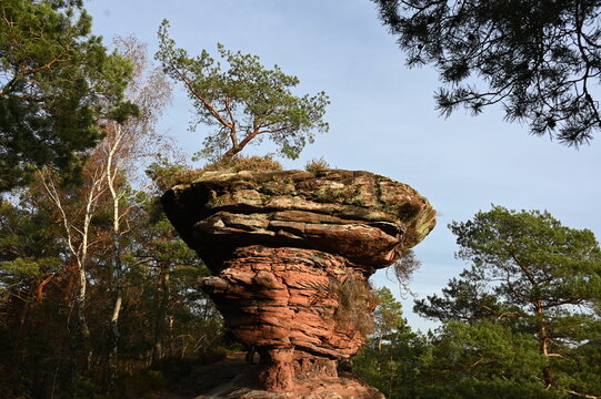 Pilzfelsen am Nesselbergfelsen