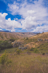 Fototapeta premium Minimal blue sky over green field with wide copy space, New Zealand landscape