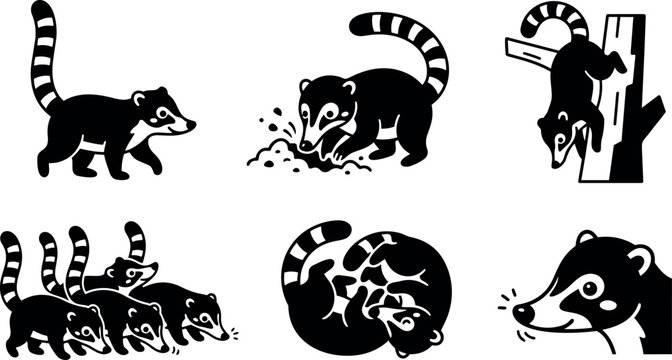 Minimalist icon set showing six ring tailed coati silhouettes walking digging climbing curled group and close up head in bold vector style