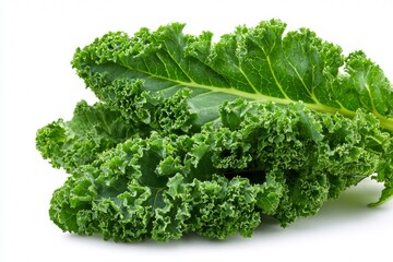 Obraz premium Raw kale with leaves intact for healthy diet