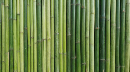 Fototapeta premium Natural bamboo texture background with tight vertical stalks and fresh green tones, sustainable organic surface perfect for eco brand Asian-inspired company or natural product design