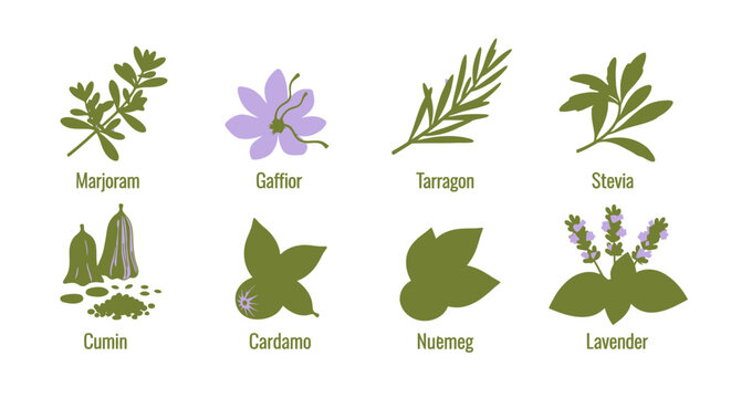 Set of Various Herbs and Spices Icons
