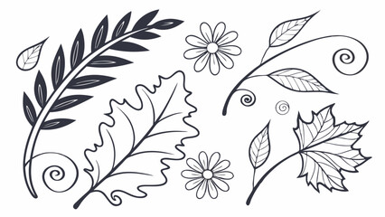 Fototapeta premium Hand Drawn Botanical Elements Outline Set for Rustic Wedding Invitations Nature Decor Logo Design Projects