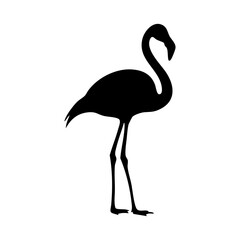 Flamingo silhouette vector illustration
