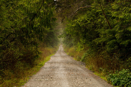 USA, WA, Olympic Peninsula, South Beach