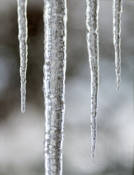 Canada, BC, Delta.  Long icicles outside of a window