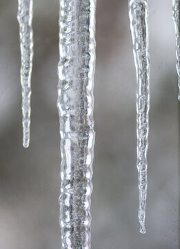 Canada, BC, Delta.  Long icicles outside of a window
