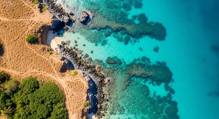 Obraz premium Aerial Drone View of a Tropical Island Coastline with Turquoise Water, Rocky Shoreline, and Lush Green Vegetation - Scenic Travel Destination Photography