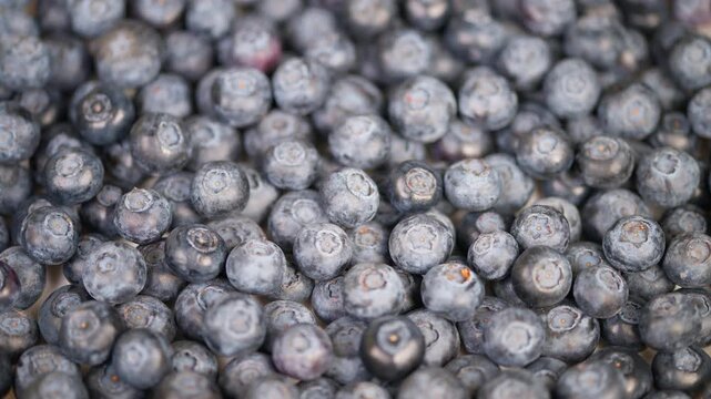 Fresh berries with textured skins. Densely packed blueberries showcase natural bloom. Close perspective reveals textured skins and vibrant colors of ripe blueberries