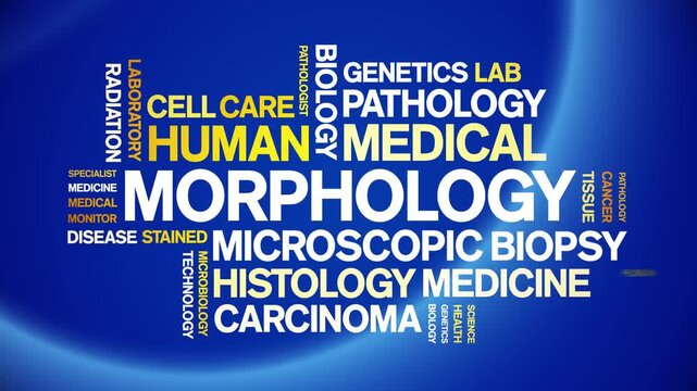 Morphology animated word cloud-text design animation tag kinetic typography seamless loop.