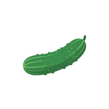 A single green cucumber with raised bumps and striped texture, isolated on a white background. This illustration features vibrant colors and clear detail.