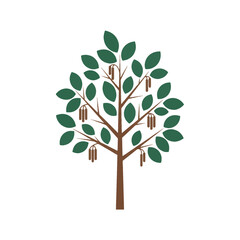 A stylized illustration of a deciduous tree with a brown trunk, branches, green leaves, and hanging catkins.