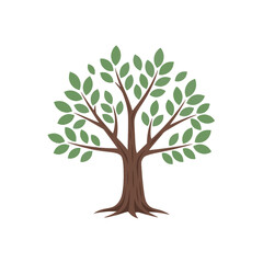 A stylized illustration of a deciduous tree with a brown trunk, branching out to numerous green leaves. It stands centered on a plain white background, embodying nature and growth.