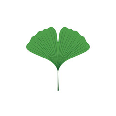 A single, stylized green ginkgo leaf with radiating veins and a long stem against a white background.