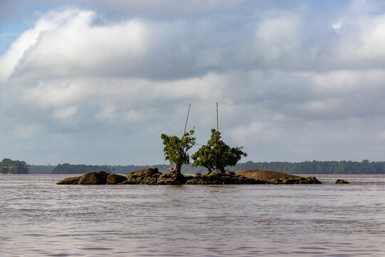 Traditional wooden canoes (pirogues) on the Maroni River, navigating rapids and docked at the shore, French Guiana