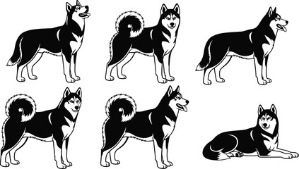 Siberian Husky dog silhouettes set in different poses, standing sitting and lying positions, black and white canine illustration isolated on white background © MSTMARIOM