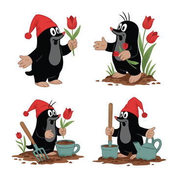 Cute Little Mole Krtek Cartoon Character with Red Hat and Tulips.