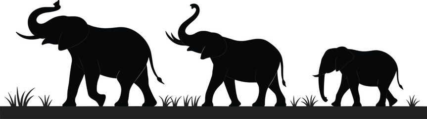 Silhouette of elephant family walking on grass field, black vector illustration of wild animals, safari nature scene, wildlife conservation, jungle and savanna design © Shuda