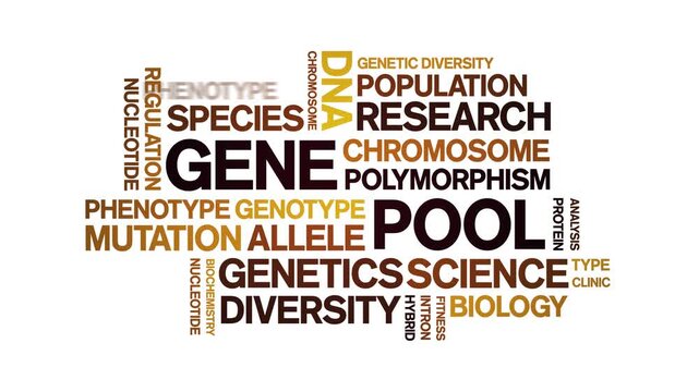 Gene Pool animated word cloud-text design animation tag kinetic typography seamless loop.