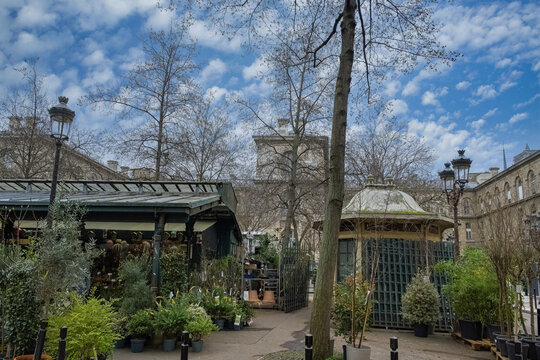 Paris, the stalls of the &laquo;&nbsp;March&eacute; aux fleurs&nbsp;&raquo; on the ile de la Cit&eacute;, in the historic center
