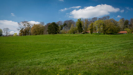 Obraz premium Green Countryside Field Near Braine-le-Comte