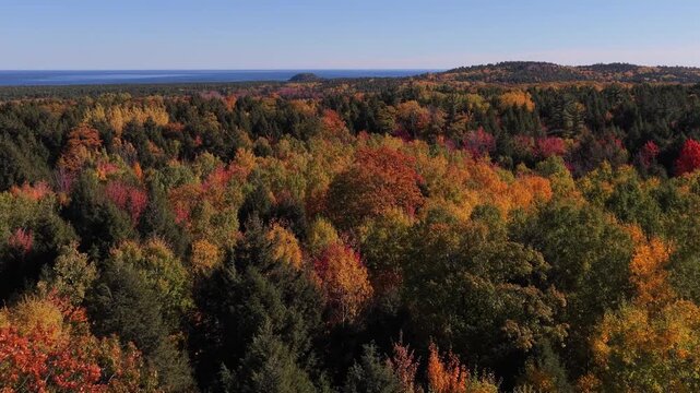 Peak fall colors aerial 