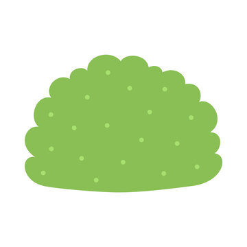 Green bush shrub plant design element isolated on white background.