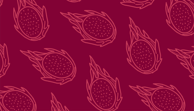 Dragon Fruit Seamless Pattern Vector. Hand Drawn Pitaya Tropical Fruit Illustration. Outline Doodle Style Repeating Food Background. Decorative Exotic Fruit Texture.