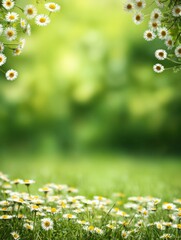Fototapeta premium Spring Garden Background With Wildflowers Creating a Border and Soft Light Shining Through the Outdoor Setting
