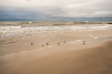 Pochmurna plaża nad Morzem Bałtyckim w Kołobrzegu © © Jakacki