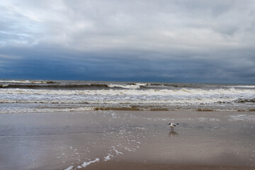Krajobraz morski, wybrzeże Bałtyku w pochmurny dzień, Kołobrzeg © © Jakacki