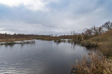 Bagna w parku w Kołobrzegu, tereny bagienne © © Jakacki