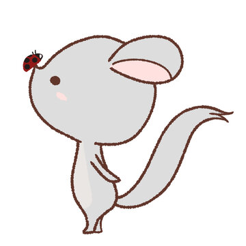 テントウムシを鼻にのせたチンチラのイラスト