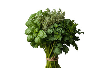 Fototapeta premium Fresh aromatic culinary herbs tied in a bunch, offering natural organic seasoning for cooking and healthy eating