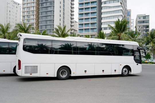 A white bus is parked on the street next to tall buildings. Palm trees are lining the road. The sun is shining in the afternoon. People are moving around in the background